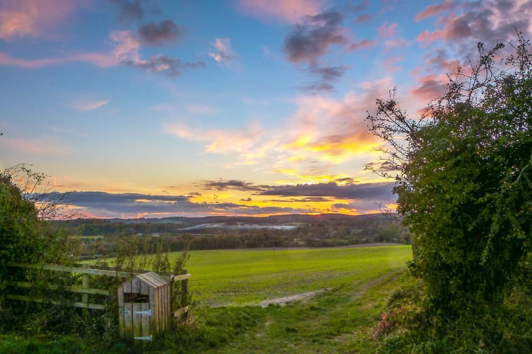 Jane Austen Country near Alton, November 2025.