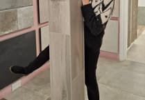 WATCH: Elf on the shelves spreads festive cheer for Farnham shops