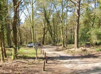 Man exposes himself to woman at beauty spot near Liphook