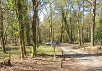 Man exposes himself to woman at beauty spot near Liphook