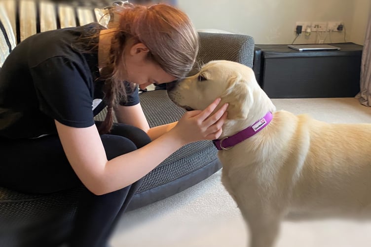 Autism assistance dog Lola with her human partner, December 10th 2025.