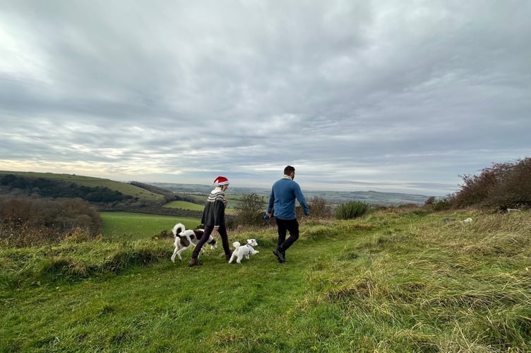 Festive dog walking in Hampshire.