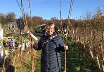 Dreaming of a green Christmas as Petersfield group offers discounted fruit trees