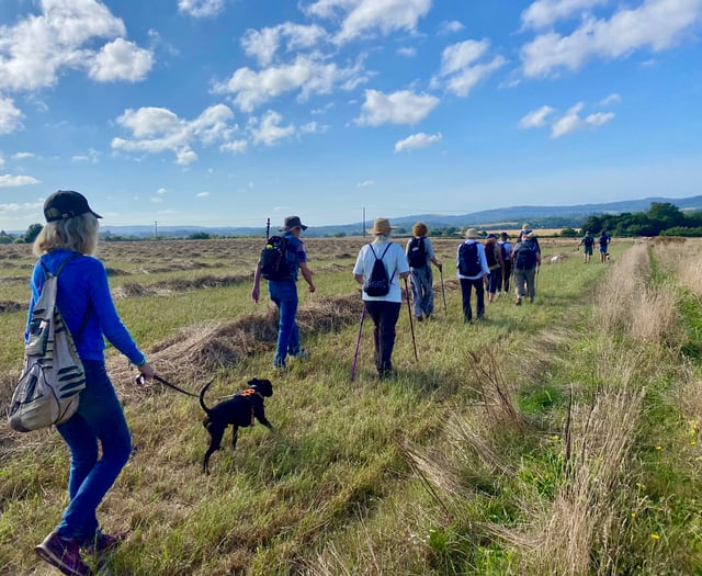 Faith, learning and the South Downs are perfect fit for body and soul