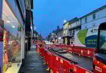 Farnham rain gardens scrapped after turning into muddy quagmires