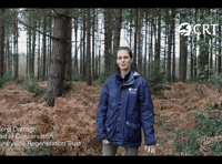WATCH: Rare heathland to be restored at Green Farm near Farnham
