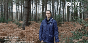WATCH: Rare heathland to be restored at Green Farm near Farnham