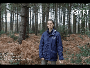 WATCH: Rare heathland to be restored at Green Farm near Farnham