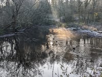 Battle lines drawn for the Poll on the Pond