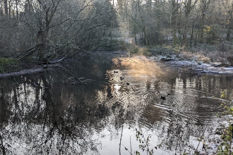 Southern end of Kings Pond in Alton, January 13th 2026.