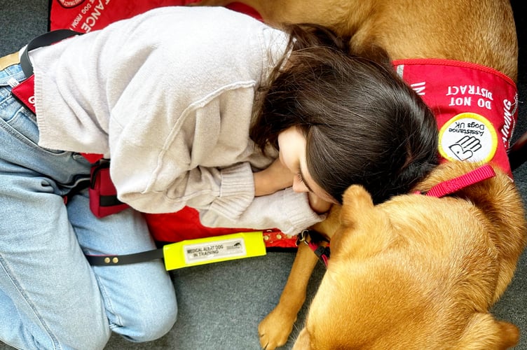 Daisy Cottle-Bailey with Jarvis, a Labrador Retriever who has changed her life. // A woman says her life has been transformed after getting a dog that can sense when she is about to faint - and performs a little jump to let her know.  Daisy Cottle-Bailey, who has Postural Orthostatic Tachycardia Syndrome (PoTS) and Ehlers-Danlos Syndrome, used to pass out up to 40 times a day.  The debilitating nature of her conditions meant she had to put her barrister training on hold - and left the 24-year-old housebound.  Unsure of what to do, she was scrolling on social media when she came across the Medical Detection Dogs charity.  Daisy, from Farnham, Surrey, reached out and workers eventually linked her up with Jarvis, a Labrador Retriever, in September 2024 - which changed her life.  The pooch is trained to to detect tiny changes in her personal smell, which are triggered by her conditions.  He can even do this when sleeping and, when alerted, he hops to tell Daisy - so she can move herself to a safe position. Jarvis has allowed Daisy to carry on with her studies and, last week, she graduated from Queen Mary University with a Master's in International Dispute Resolution. 