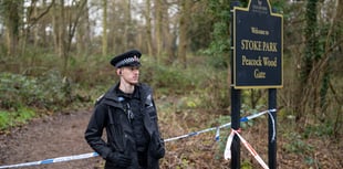 Two teens arrested after Farnham schoolboy's fatal stabbing