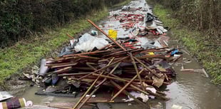 Frustration over fly-tipping as lane near Binsted blocked