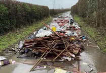 Frustration over fly-tipping as lane near Binsted blocked