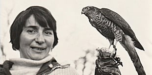 Royal send-off for Medstead's Molly as funeral details confirmed