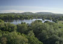 The long read: A blueprint for the future of the South Downs