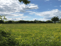 Medstead residents say 'enough is enough' over 850 houses plan