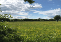 Medstead residents say 'enough is enough' over 850 houses plan