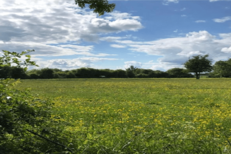 Land at Lymington Bottom Road, Medstead, January 27th 2026.