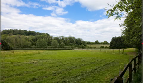 Call to protect Alton's history as plans for 225 homes revealed