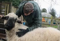 Surrey children’s charity receives £175,000 grant for new home