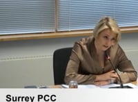 Surrey Police council tax share to rise to £350