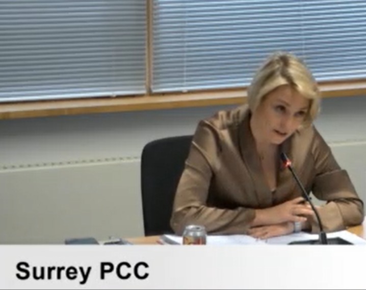 Surrey Police council tax share to rise to £350