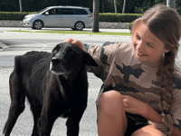 Dom the Dominican dog seeking funds for UK forever home