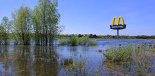 McDonald's drive-thru battle resumes near Tice’s Meadow