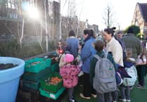 FareShare Sussex & Surrey: Could a school pantry help your community?