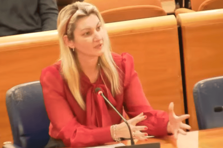 Farnham resident Ionela Emmett addresses Waverley Borough Council Executive meeting on February 10, 2026.