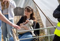 We've got news for ewe as Meon Valley farm holds lambing event