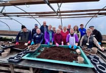 Volunteers dig in to help Farnham in Bloom preparations
