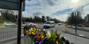 Police renew witness appeal after serious A31 collision