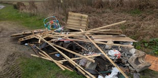 Fly-tippers strike again as pile dumped on road near Selborne