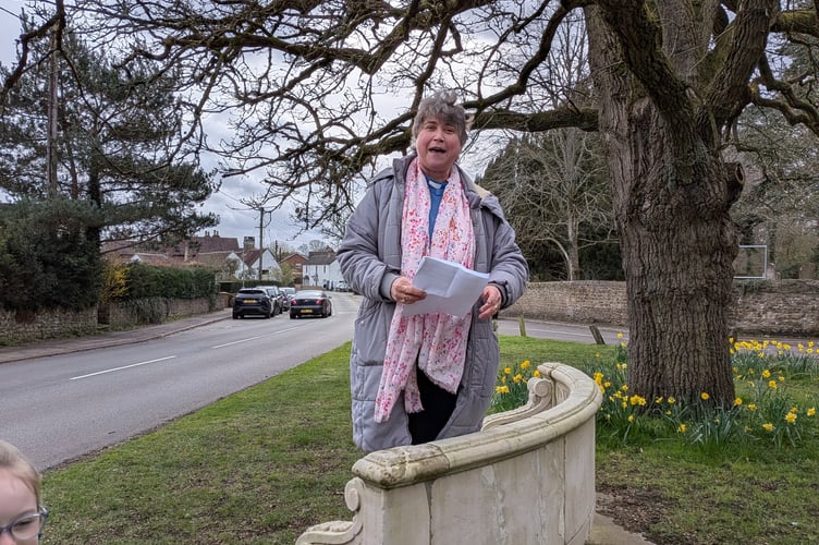 Rev Hannah Moore Daffodils Elstead