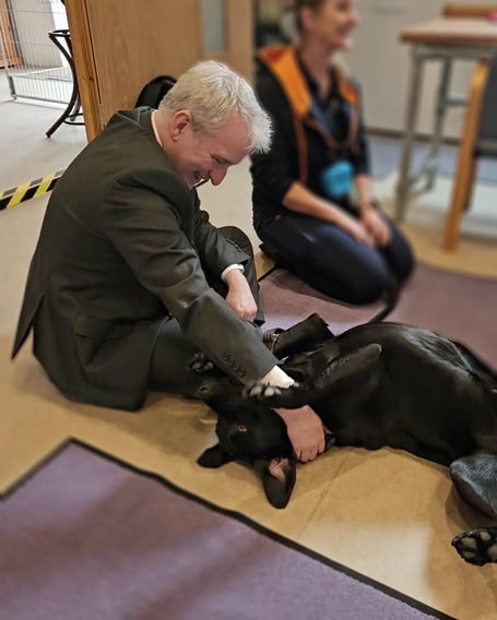 Damian Hinds MP meets Hobson at Dog for Autism.