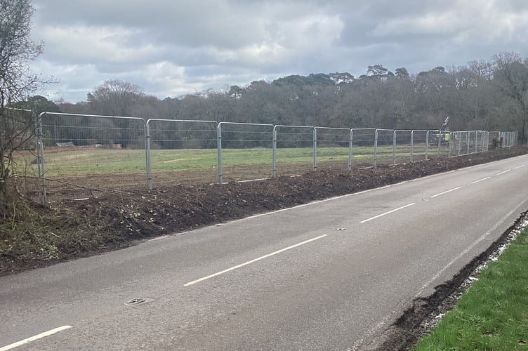 The site of the hedgerows on Waverley Lane in Farnham.