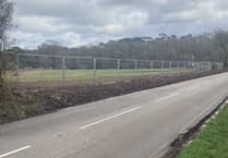 Hedgerow removal in Farnham's Waverley Lane is a cut too deep for some
