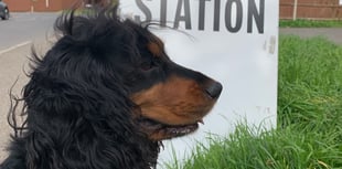 Why the Surrey local elections will be different this year