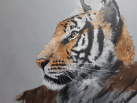 Hampshire and Surrey clubs and societies news