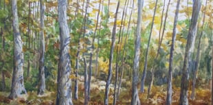 Meet the artists at exhibition in Alton