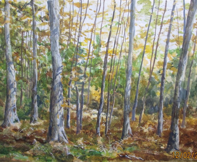 Meet the artists at exhibition in Alton