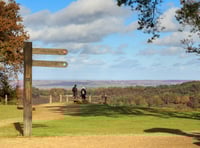 Lifeline for Surrey’s rare heathland as £285k funding secured