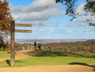 Lifeline for Surrey’s rare heathland as £285k funding secured