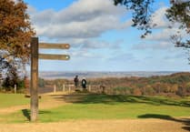 Lifeline for Surrey’s rare heathland as £285k funding secured