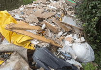 Asbestos dumped in fly-tip near Alton