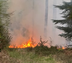 Fire crews tackle major heath blaze on Surrey–Hants border