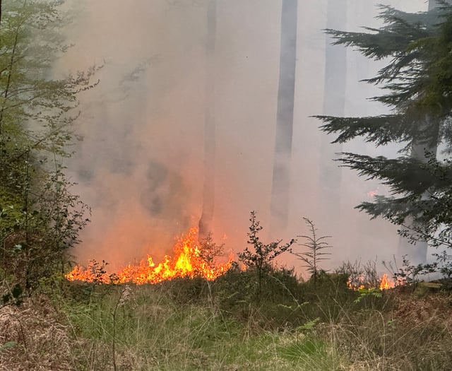 Fire crews tackle major heath blaze on Surrey–Hants border