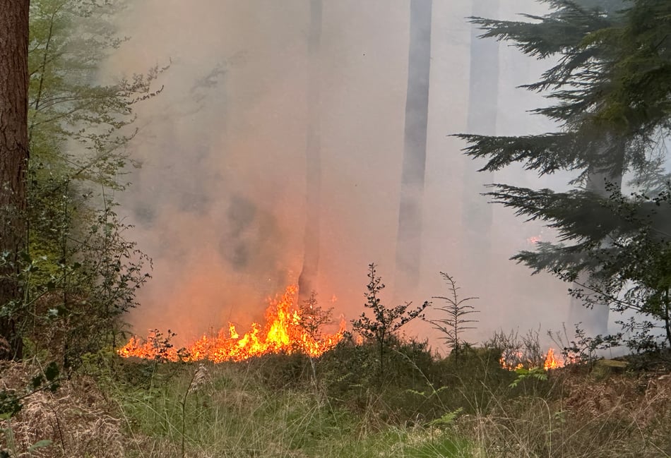 Fire crews tackle major heath blaze on Surrey–Hants border